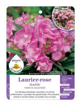 NERIUM OLEANDER voir Laurier-rose double (rose) (*)