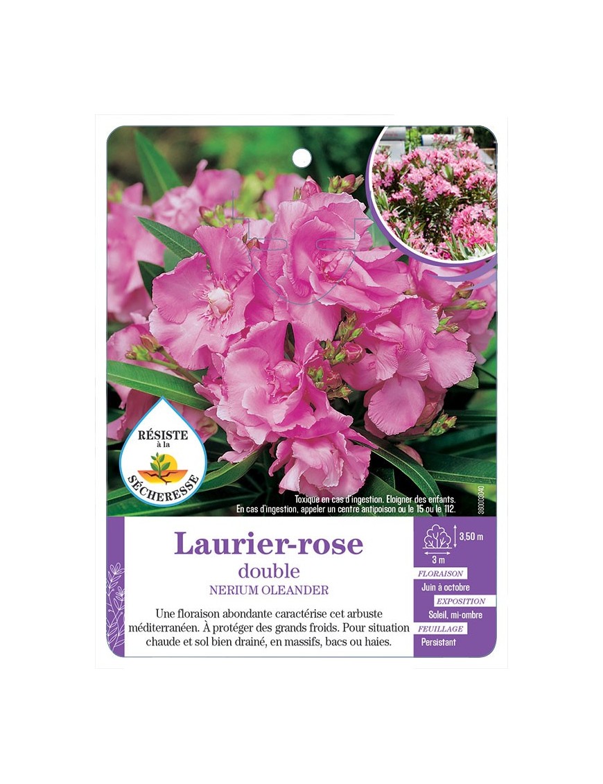 NERIUM OLEANDER voir Laurier-rose double (rose) (*)