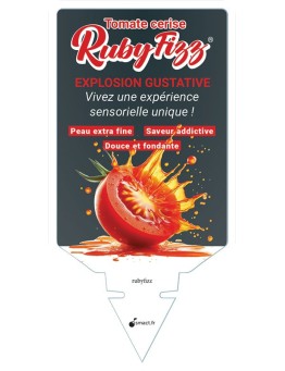 Tomate Ruby Fizz®