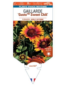 GAILLARDE GustoTM Sweet Chili