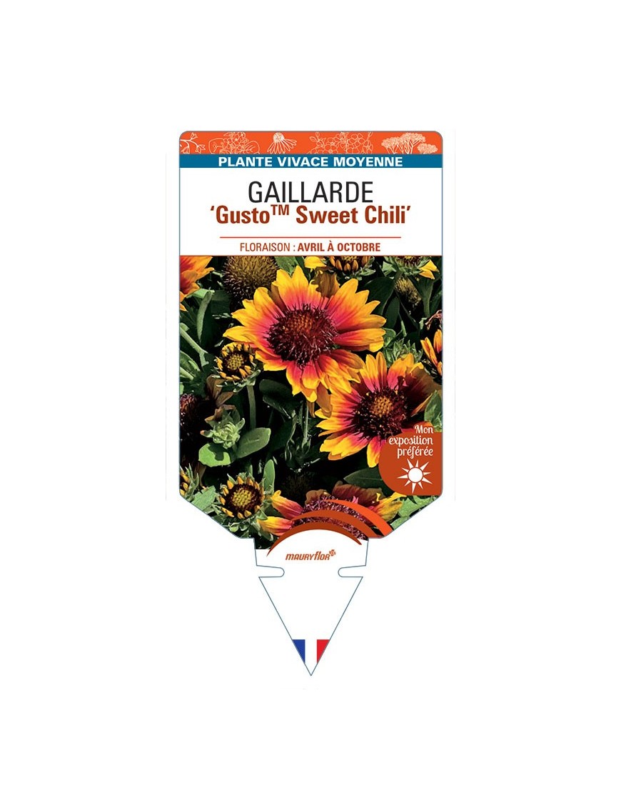 GAILLARDE GustoTM Sweet Chili