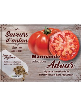 Tomate Marmande sélection Adour