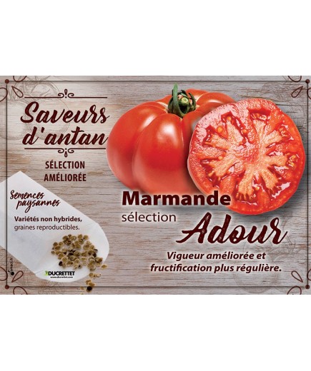 Tomate Marmande sélection Adour