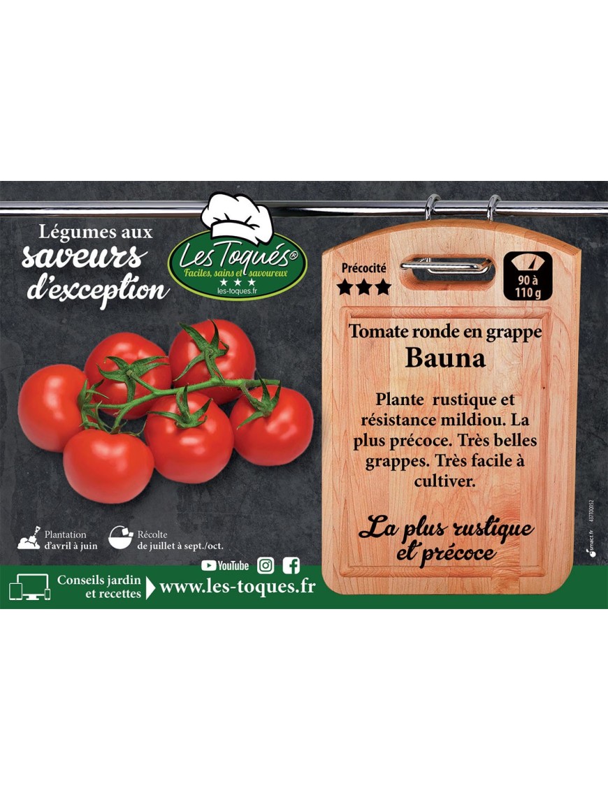 Tomate ronde en grappe Bauna