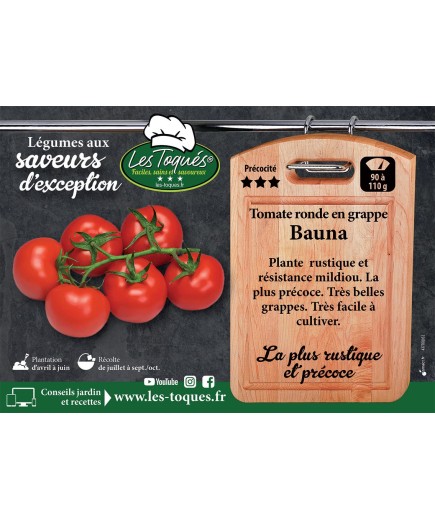 Tomate ronde en grappe Bauna