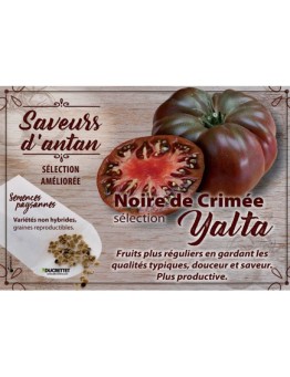 Tomate Noire de Crimée sélection Yalta