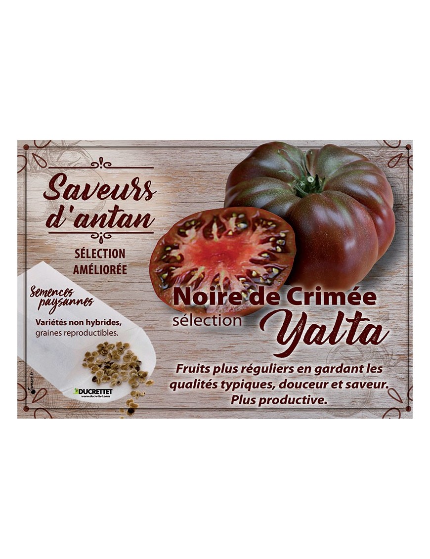 Tomate Noire de Crimée sélection Yalta