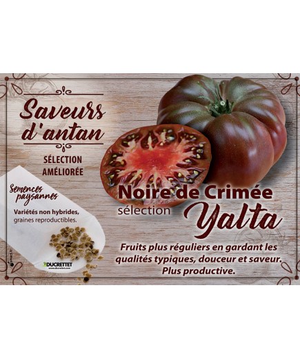 Tomate Noire de Crimée sélection Yalta