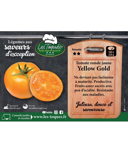 Tomate ronde jaune Yellow Gold