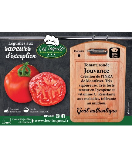 Tomate ronde Jouvance