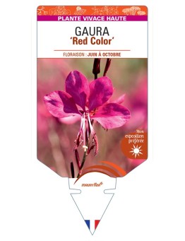 GAURA Red Color