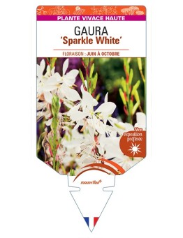 GAURA Sparkle White