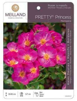 Rosier à massifs PRETTY® Princess Meimauleva