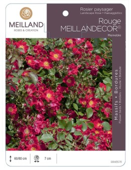 Rosier paysager Rouge MEILLANDECOR ® Meineble