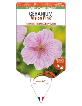 GERANIUM (sanguineum) Vision Pink