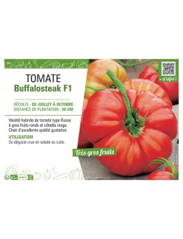 TOMATE BUFFALOSTEAK F1