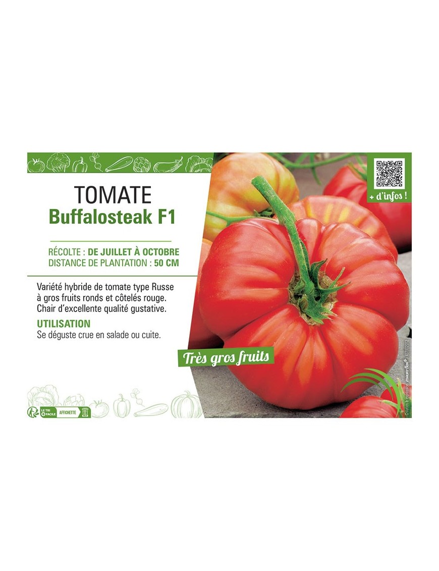 TOMATE BUFFALOSTEAK F1