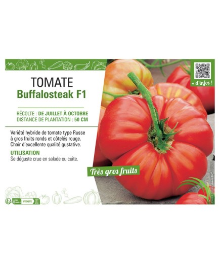 TOMATE BUFFALOSTEAK F1