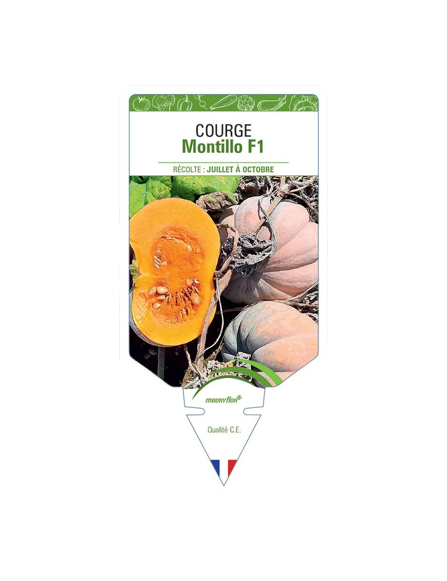 COURGE Montillo F1