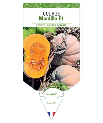 COURGE Montillo F1