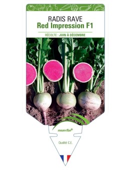 RADIS RAVE Red Impression F1