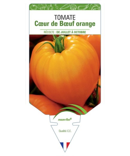 TOMATE CŒUR DE BŒUF ORANGE