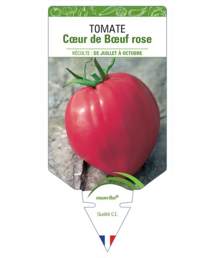 TOMATE CŒUR DE BŒUF ROSE