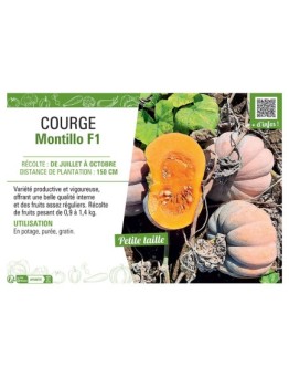 COURGE MONTILLO F1