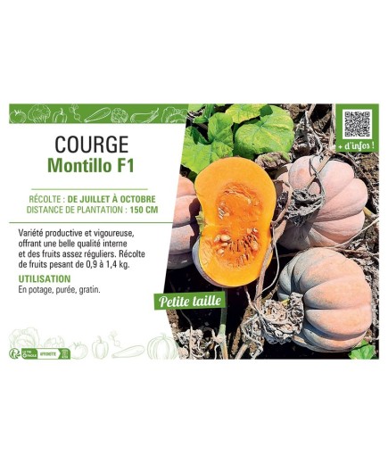 COURGE MONTILLO F1
