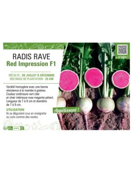 RADIS RAVE RED IMPRESSION F1