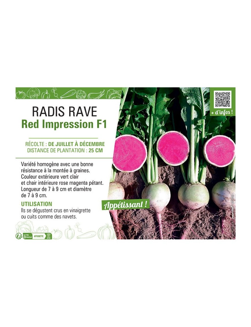 RADIS RAVE RED IMPRESSION F1