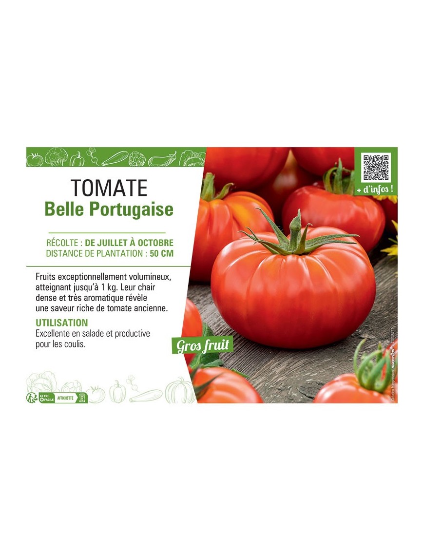 TOMATE BELLE PORTUGAISE