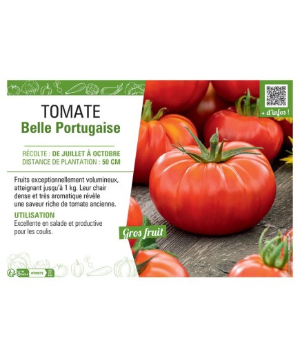 TOMATE BELLE PORTUGAISE