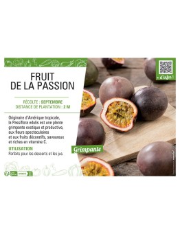FRUIT DE LA PASSION