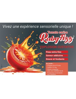 Tomate Ruby Fizz®