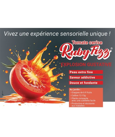 Tomate Ruby Fizz®