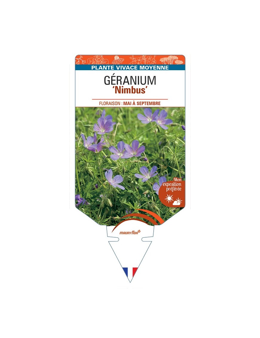 GERANIUM Nimbus