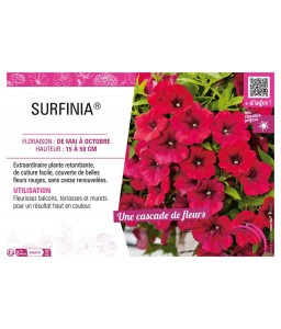 SURFINIA® (rouge)
