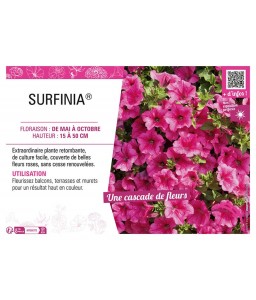 SURFINIA® (rose)