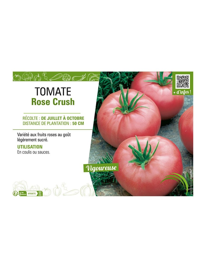 TOMATE ROSE CRUSH
