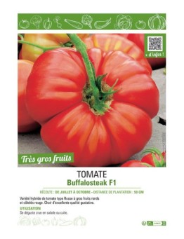 TOMATE BUFFALOSTEAK F1