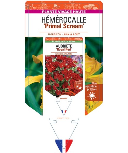 HEMEROCALLIS Primal Scream