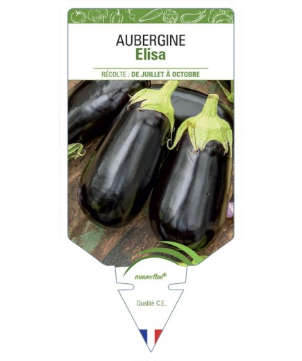 AUBERGINE ELISA