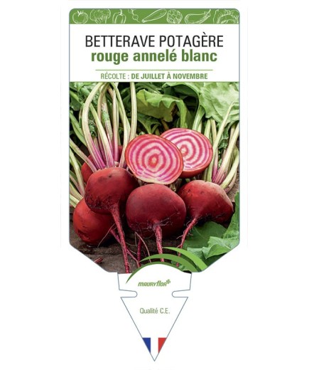 BETTERAVE POTAGÈRE ROUGE ANNELÉ BLANC