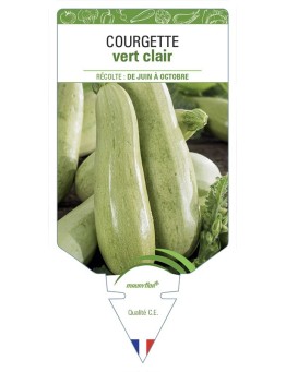 COURGETTE VERT CLAIR