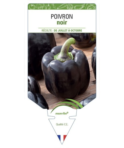 POIVRON NOIR