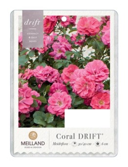 Coral DRIFT®