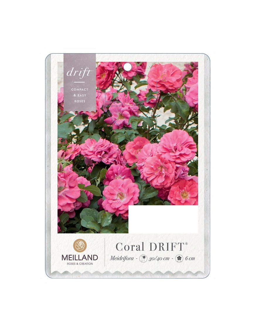 Coral DRIFT®