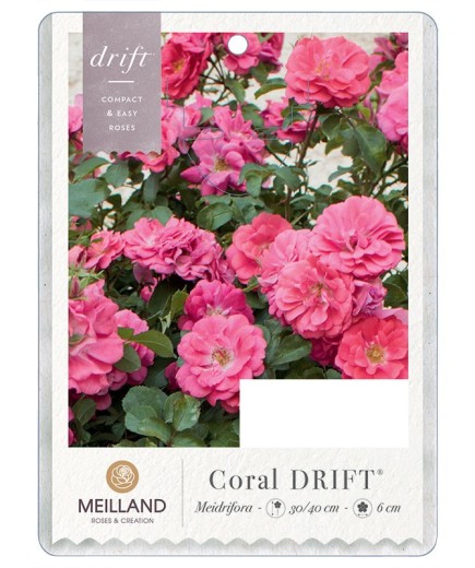 Coral DRIFT®