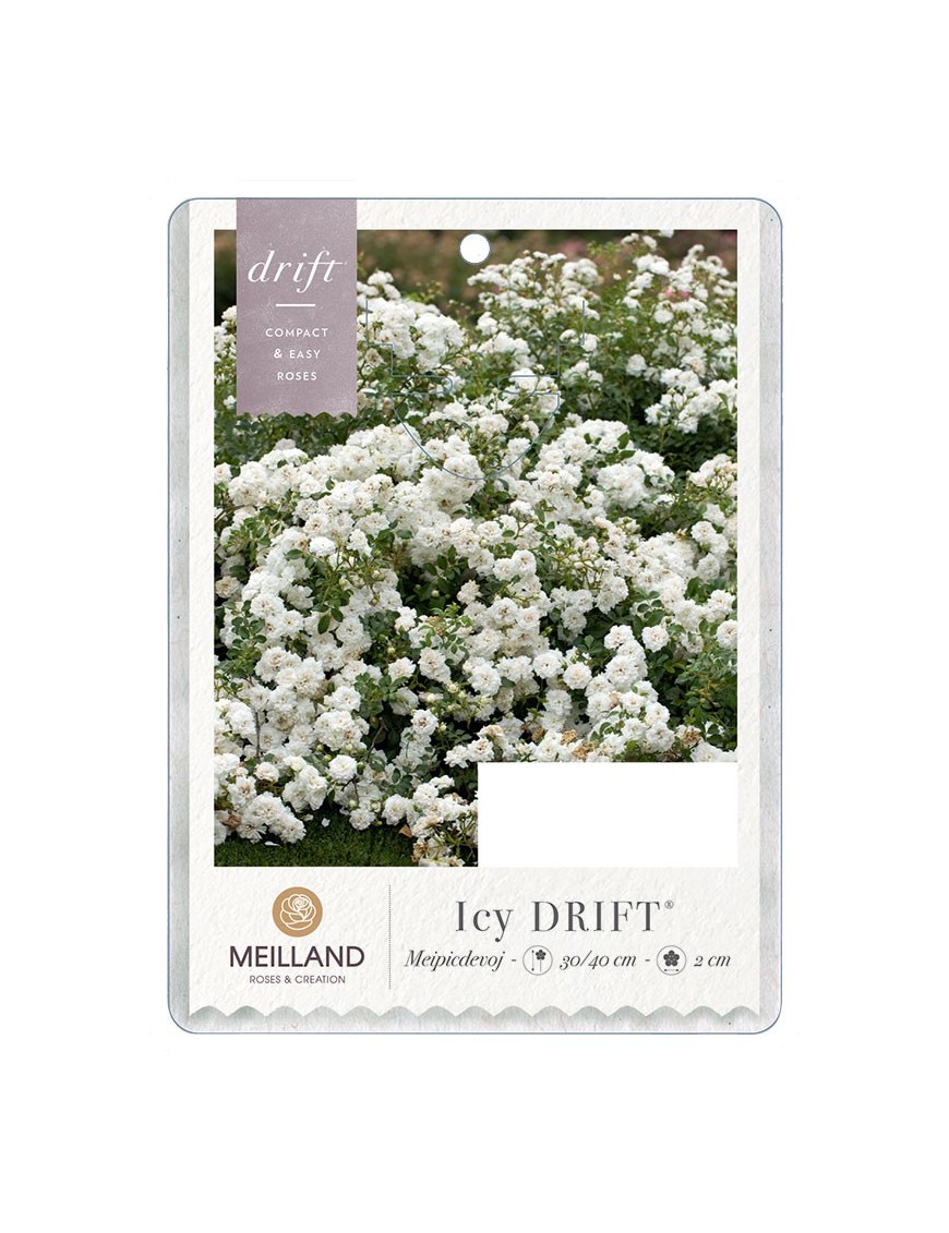 Icy DRIFT®